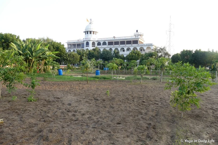 Bermuda grass roots removed from this area and linseed sown